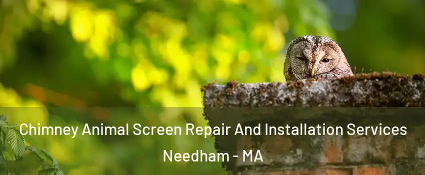  Chimney Animal Screen Repair And Installation Services Needham - MA