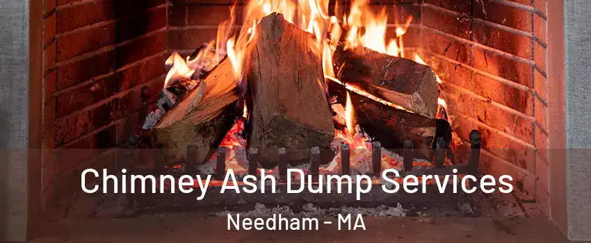  Chimney Ash Dump Services Needham - MA