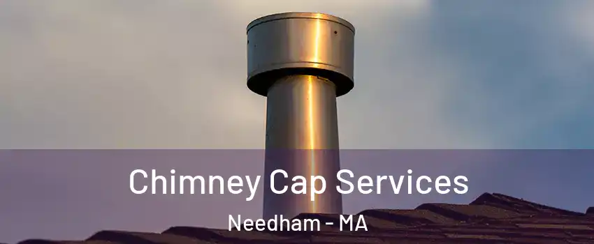  Chimney Cap Services Needham - MA