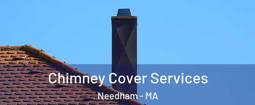  Chimney Cover Services Needham - MA