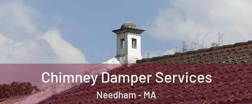  Chimney Damper Services Needham - MA