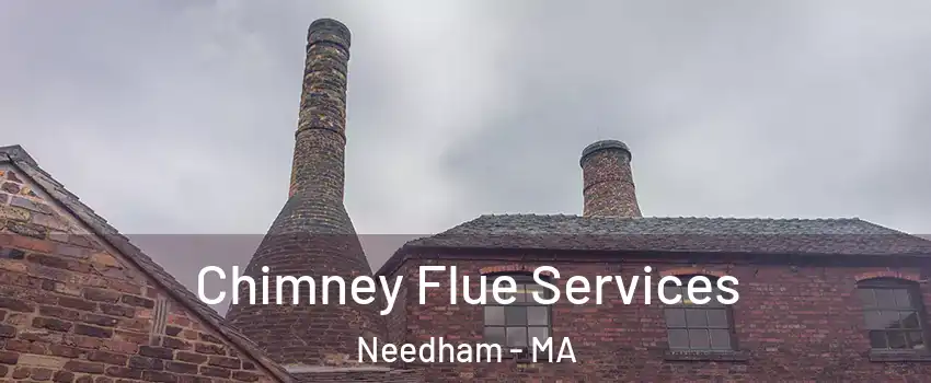  Chimney Flue Services Needham - MA