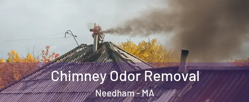  Chimney Odor Removal Needham - MA