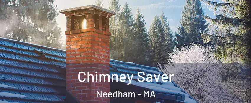  Chimney Saver Needham - MA
