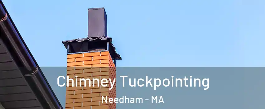  Chimney Tuckpointing Needham - MA