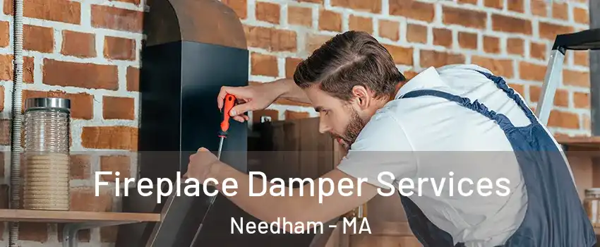  Fireplace Damper Services Needham - MA