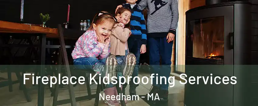  Fireplace Kidsproofing Services Needham - MA
