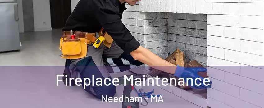  Fireplace Maintenance Needham - MA