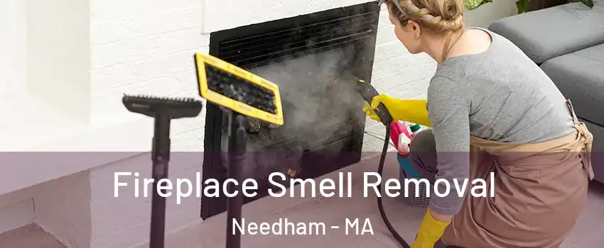  Fireplace Smell Removal Needham - MA