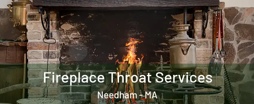  Fireplace Throat Services Needham - MA