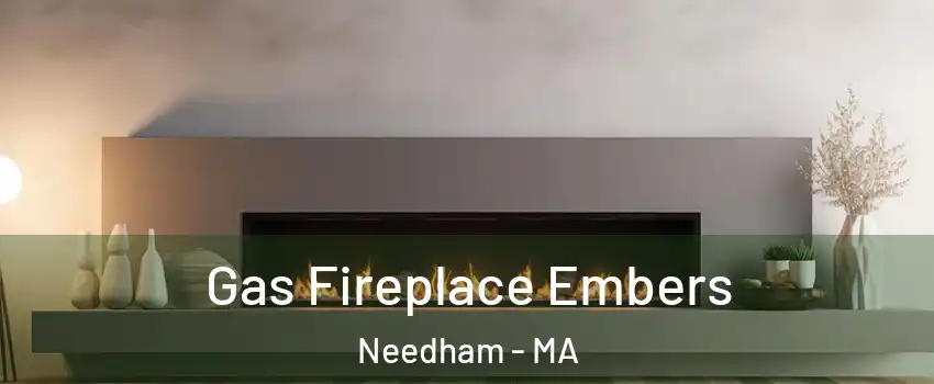  Gas Fireplace Embers Needham - MA