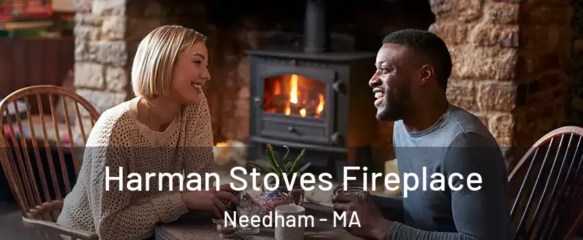  Harman Stoves Fireplace Needham - MA