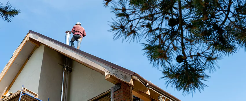Birds Removal Contractors from Chimney in Needham, MA