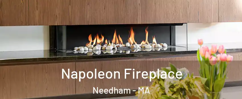  Napoleon Fireplace Needham - MA