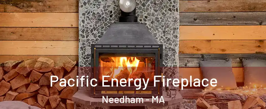  Pacific Energy Fireplace Needham - MA