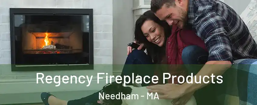  Regency Fireplace Products Needham - MA
